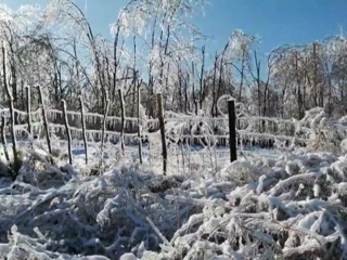 Без света, тепла и воды: в Приморье борются с последствиями ледяного дождя
