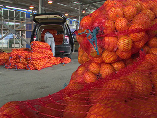 За два месяца из Абхазии в Сочи ввезено 4 тысяч тонн мандаринов