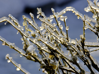 Температурные качели грозят ледяными дождями