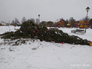 В Вологде неизвестные повалили новогоднюю елку