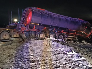 Вышедшая на дорогу корова привела к столкновению грузовиков на трассе Москва – Архангельск