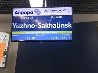 Пьяного авиадебошира скрутили в аэропорту Владивостока