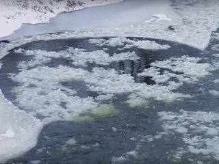 В Омске под лед провалилась женщина, спасая ребенка