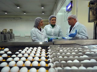 "Вся сила в яйцах": ведущие "Формулы еды" побывали на птицефабрике