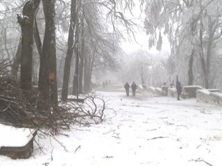 В Железноводске уже неделю под тяжестью льда падают деревья