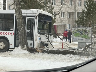 Пассажирский автобус  врезался в дерево в Красноярске, есть жертвы