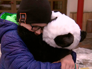 Встретились как старые знакомые: мечтавший обнять панду мальчик побывал в Московском зоопарке