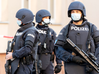 Разгон по Фрейду: венская полиция применила газ против антифашистов