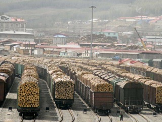 Во Владивостоке выявили контрабанду лесоматериалов на 1,3 миллиарда рублей