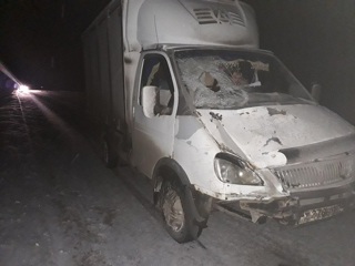 На трассе в Марий Эл грузовик насмерть сбил пешехода