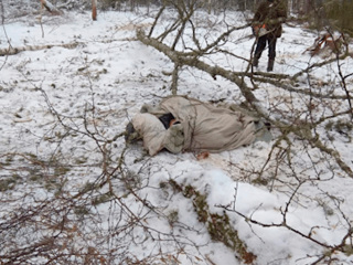 Житель Башкирии чуть не погиб, спасая собаку от падающих деревьев