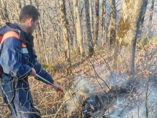 В Сочи 100 человек продолжают тушить лесной пожар на горе Кума