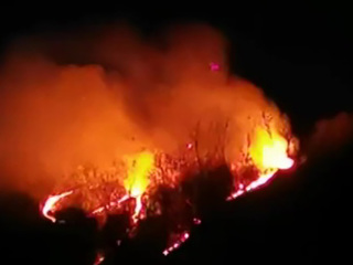 Пожар у горы Пикет дошел до Лазаревского района Сочи