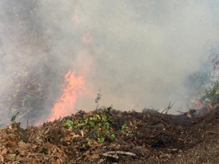 Погода помогла: в Сочи ликвидированы все лесные пожары