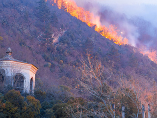 Лесной пожар подошел на 150 метров к жилым домам в Гагре