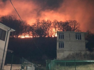 Лесной пожар подобрался к аэропорту Сочи. Видео