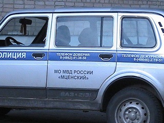 В Орловской области двух молодых амчан подозревают в грабеже