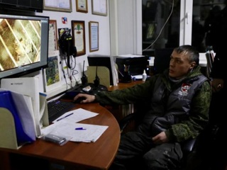 Три амурских тигра проходят реабилитацию в Приморском крае