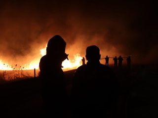 Пожарные ликвидировали природный пал под Анапой