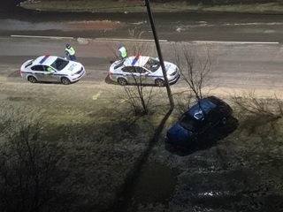 В Воронеже кусты помешали пьяному автомобилисту сбежать от полицейских