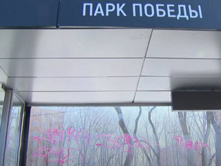 Волна вандализма захлестнула Владивосток: полиция вычисляет нарушителей
