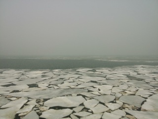 В Таганрогском заливе образовались дрейфующие льды