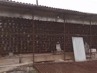 В Абхазии на чайной фабрике обнаружили огромную криптоферму. Видео