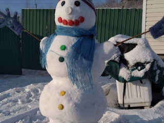 Жители Самарской области креативно попрощались с зимой