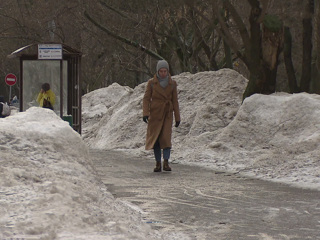 Мокрый снег и сильный гололед: в Москве объявлен желтый уровень погодной опасности