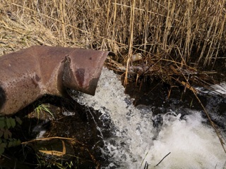 В Твери неочищенные сточные воды загрязняли почву