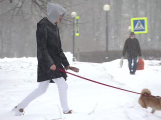 В Новгородскую область пришел снежный циклон