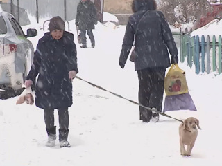 Вести. В Омске за 8 часов выпало рекордное количество снега