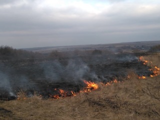 На Орловщине начала гореть сухая трава
