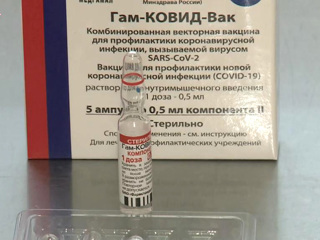 Минздрав ФРГ высказался о сертификации российского Спутника V