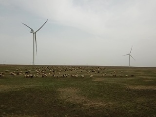 Проблему энергодефицита в Калмыкии помог решить степной ветер