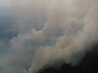 25 тысяч гектаров природных пожаров тушат в России