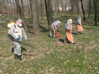 Вести. В Белгороде обработали парки от клещей