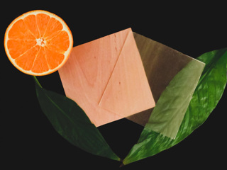 Апельсиновая кожура помогла учёным сделать древесину прозрачной