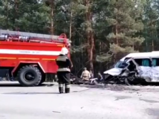 Пять человек погибли в аварии в Курганской области
