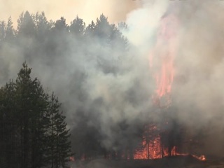 В 56 субъектах РФ объявлен особый режим из-за природных пожаров