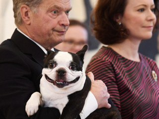 Умер "улыбающийся" пес президента Финляндии