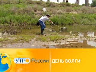 Утро России. Нацпроект Экология. День Волги