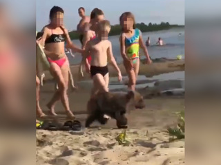 Дети искупались с медвежонком на пляже в Челябинской области. Видео