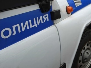 В Тверской области мужчина засмотрелся на сбитого лося и погиб