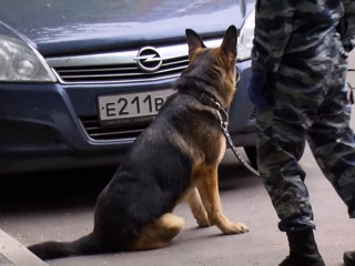 Вести. Дежурная часть. Эфир от 28.05.2021 (21:30)