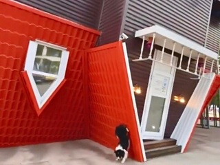 В парке Краснодара собака делает гимнастику на крыше перевернутого дома