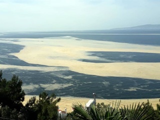 Мраморное море покрыла непонятная слизь