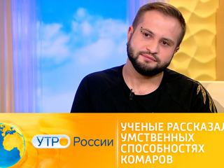 Утро России. Ученые рассказали об умственных способностях комаров
