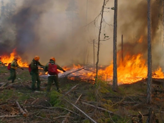 Лесной пожар в Челябинской области перешел на Запасное