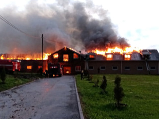 Под Нижним Новгородом тушат крупный пожар в конюшне